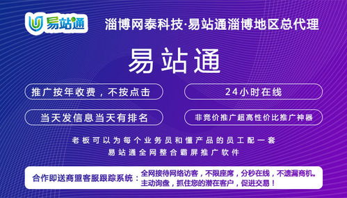 惠民網絡推廣效果好服務介紹——淄博網泰科技，以專業經驗與技術開發助力企業騰飛